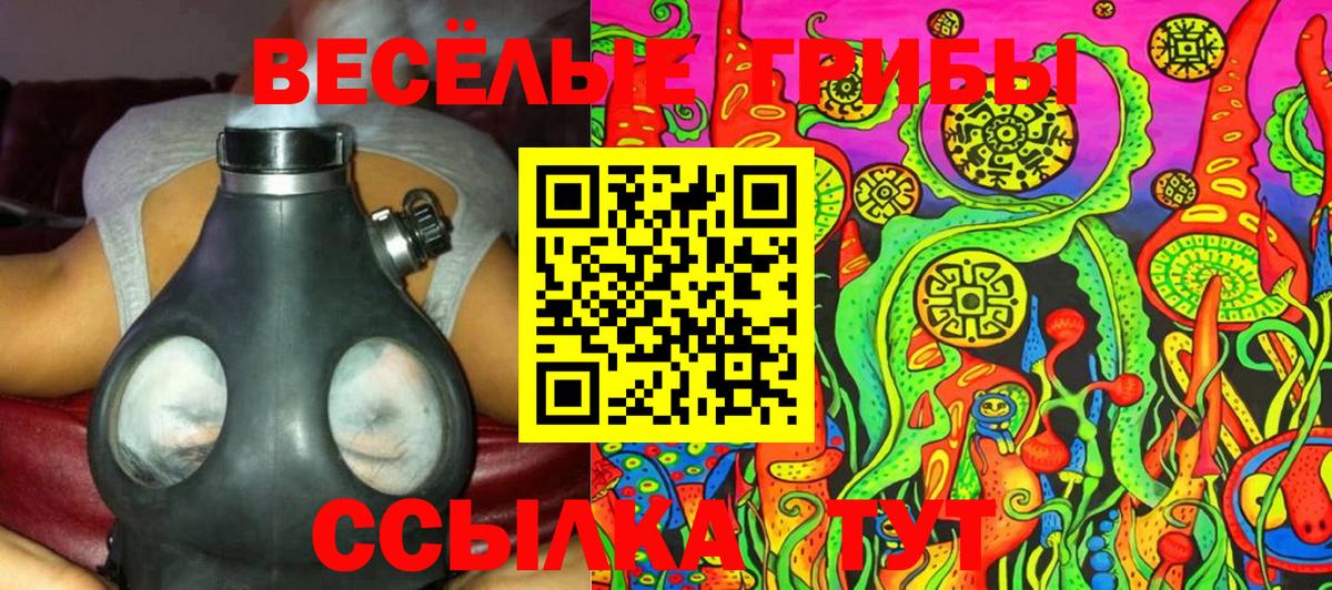Галлюциногенные грибы Psilocybe  Вход с VPN  Воркута 